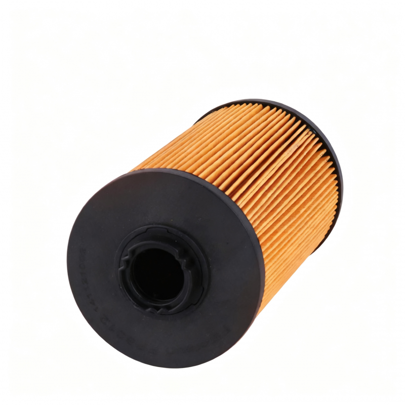 Fuel filter for rotary drill rig
